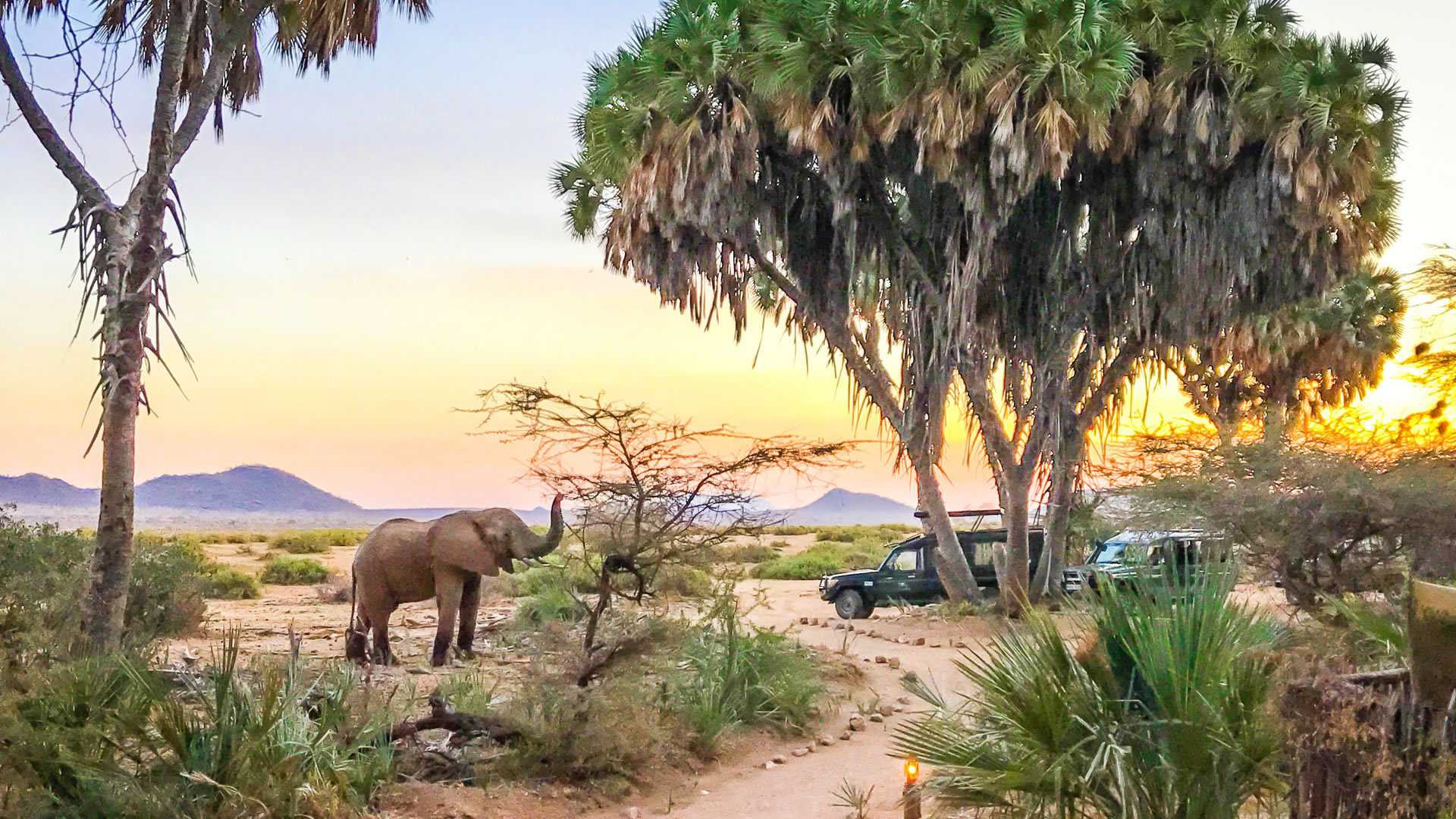 Elephant Bedroom Camp