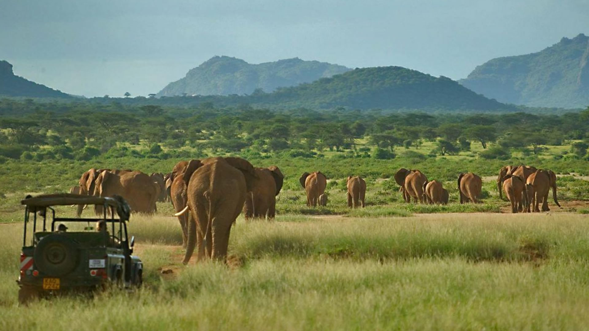 Elephant Watch Camp