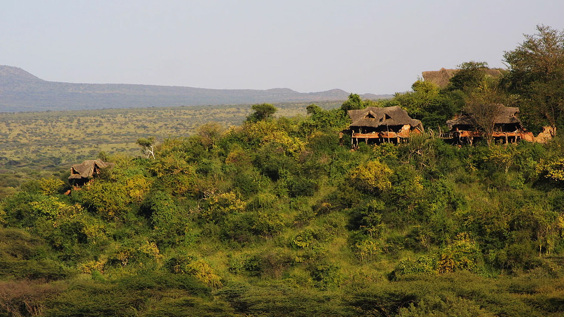 IL Ngwesi Lodge