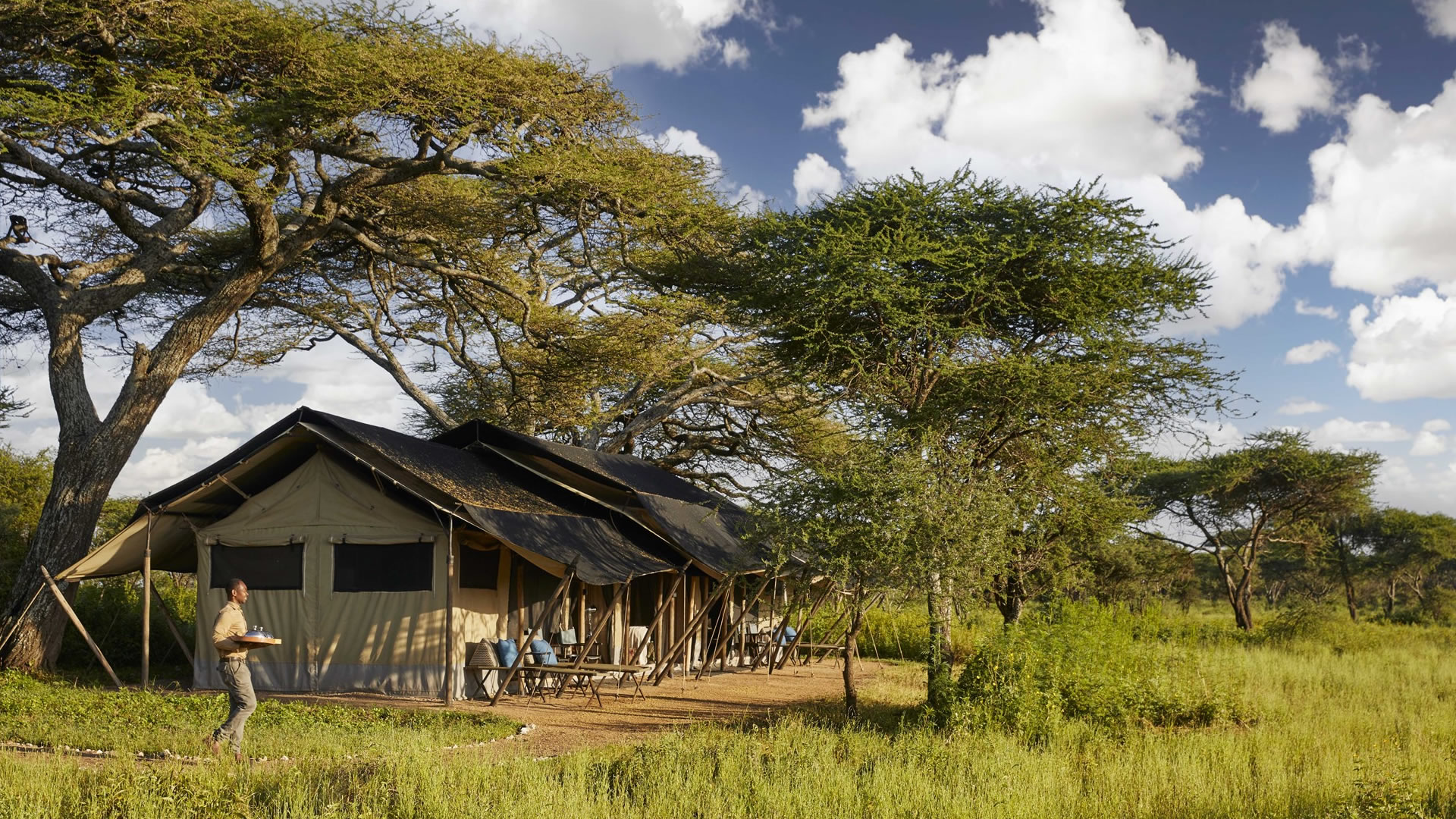 Legendary Songa Migration Camp - Kogatende & Maswa Kimali