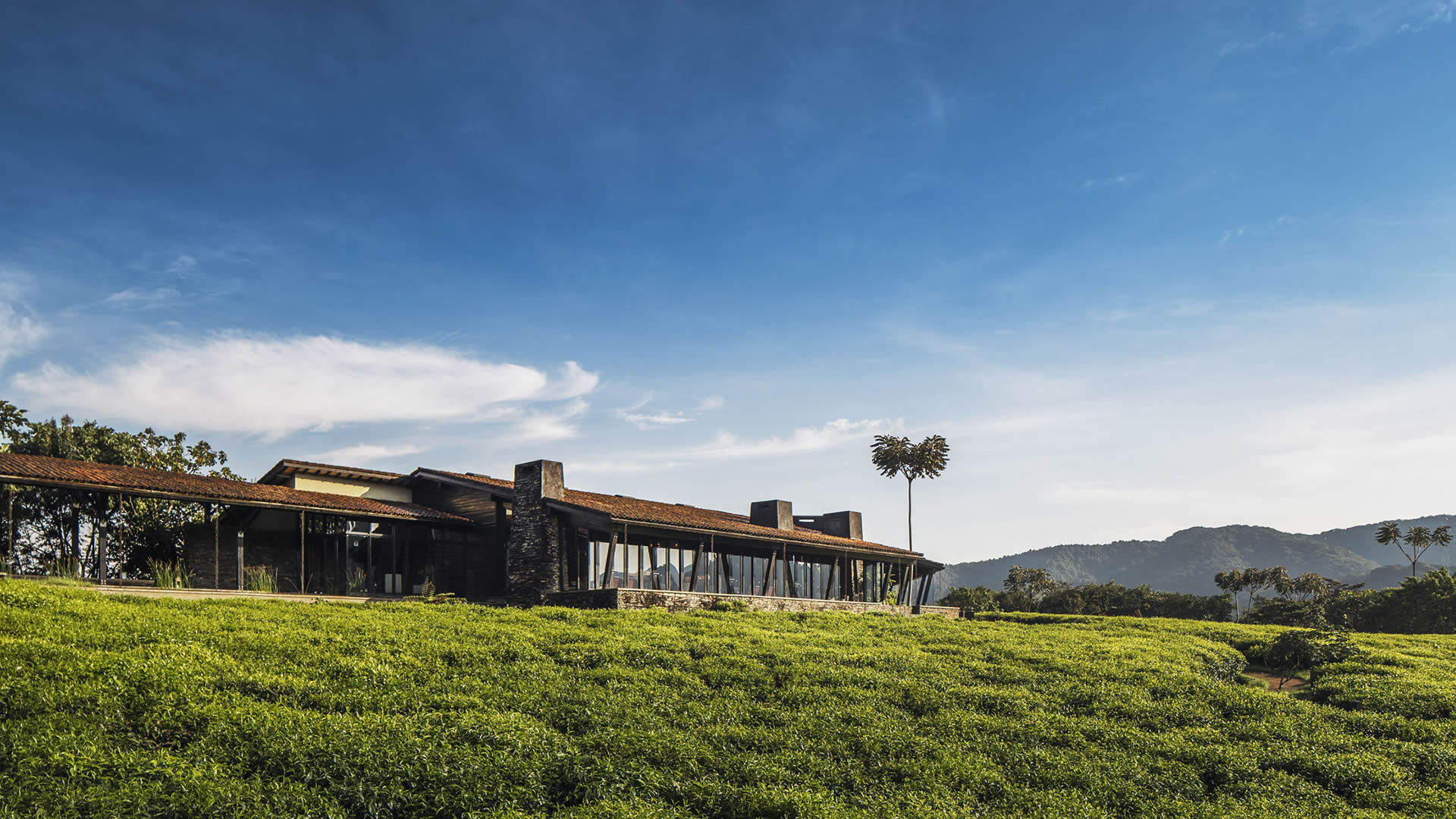 nyungwe forest lodge
