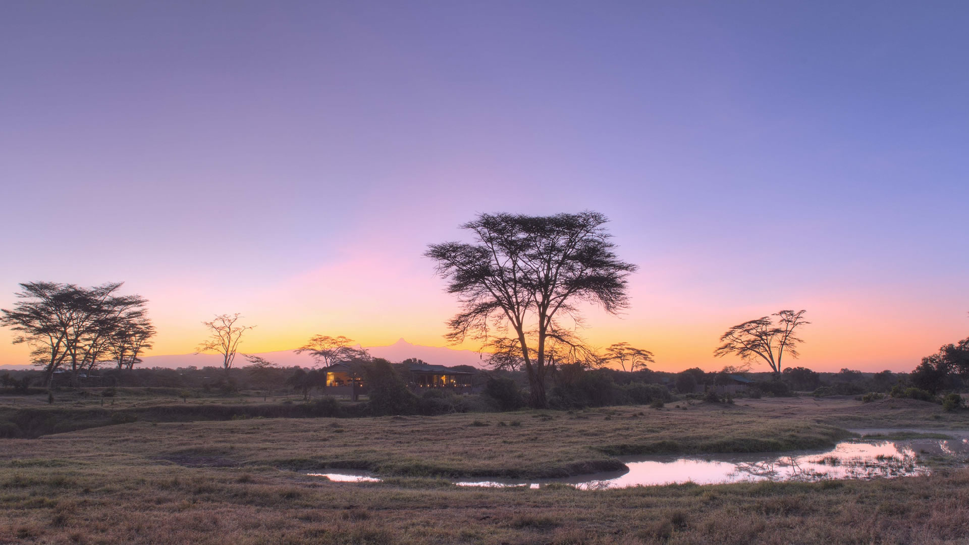 OL Pejeta Bush Camp