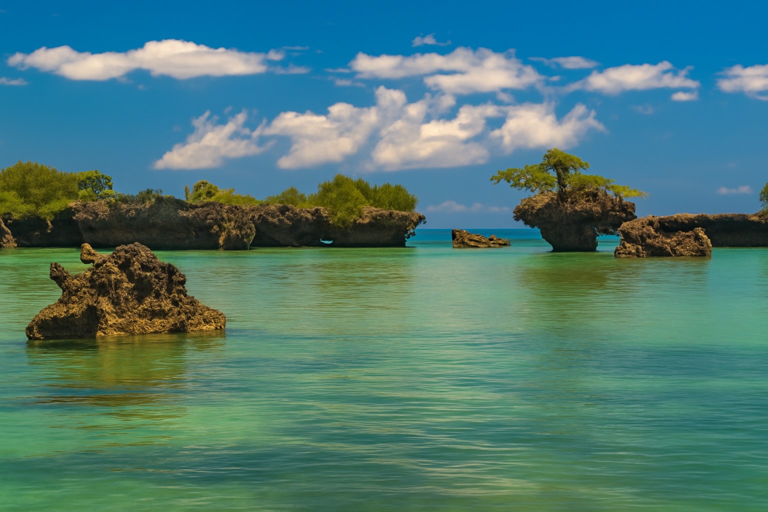 ENVI Paje - Pungume Island