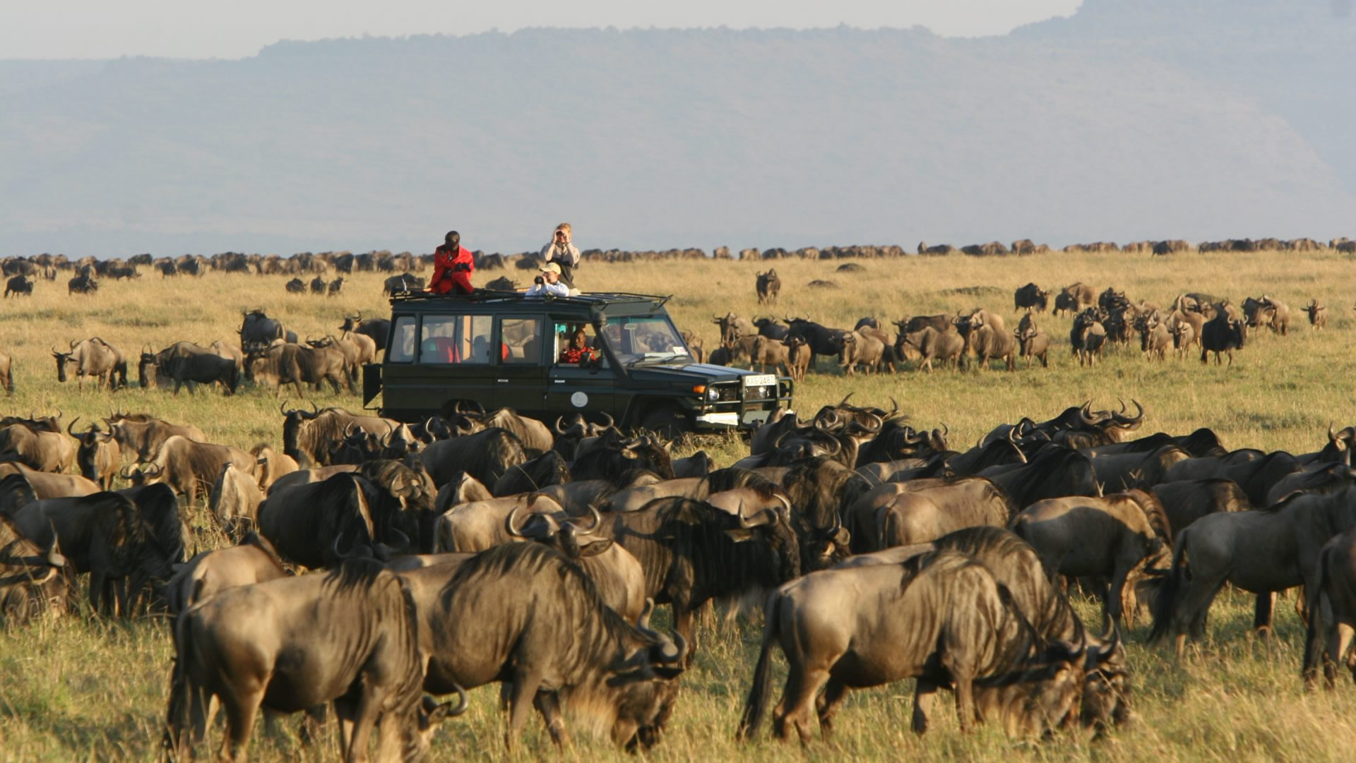 8 days migration experience